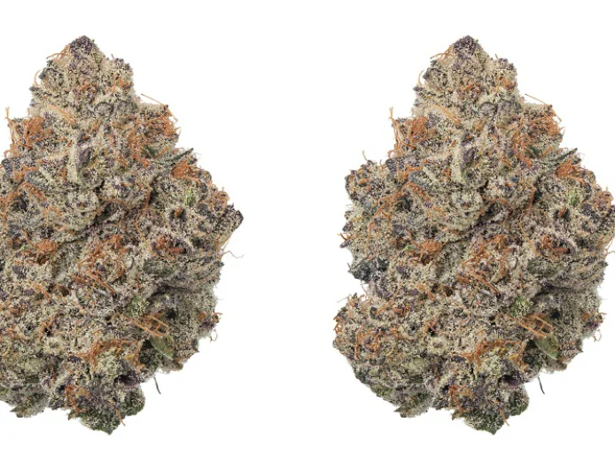 Finding High-Quality Budget THCa Flower in 2026