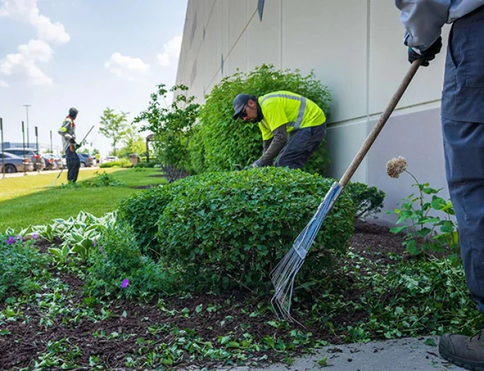 Why Landscape Maintenance in Oneonta, NY Matters