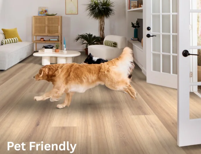 Which Flooring Is Best for Homes with Pets? | Carpet and Flooring Contractor Westford MA
