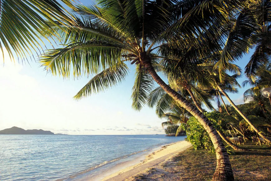 Snorkeling and Diving Spots in Seychelles You Shouldn't Miss