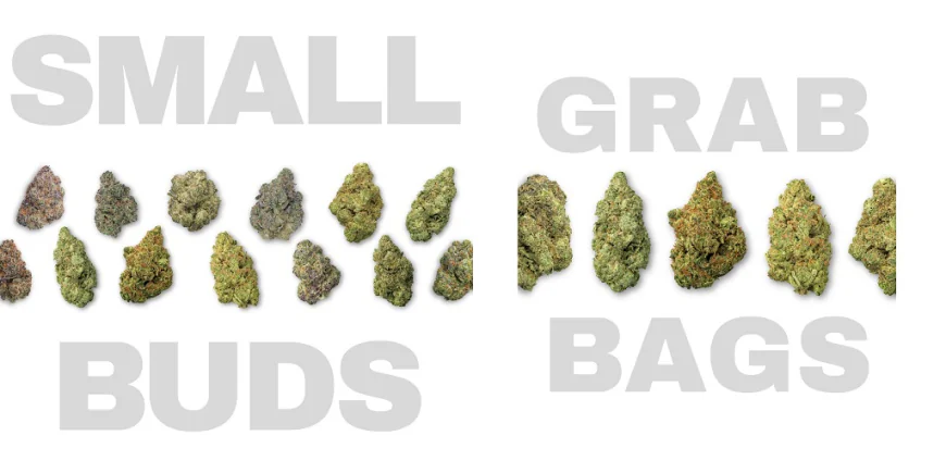 Why THCa Bundles Are the Smarter Way to Explore Hemp