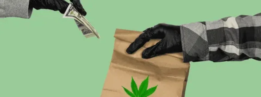 Why Weed Delivery in Jack London Square Is Changing Cannabis Shopping