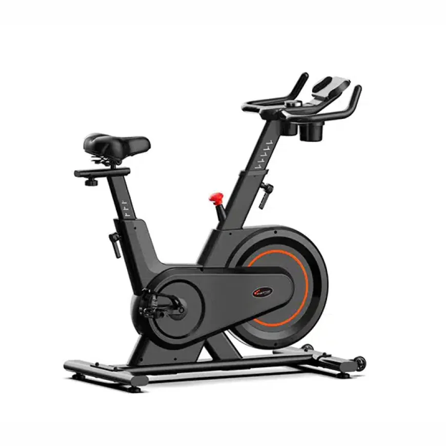 Gym Equipment Price in Bangladesh – Complete Buying Guide for Home & Commercial Fitness