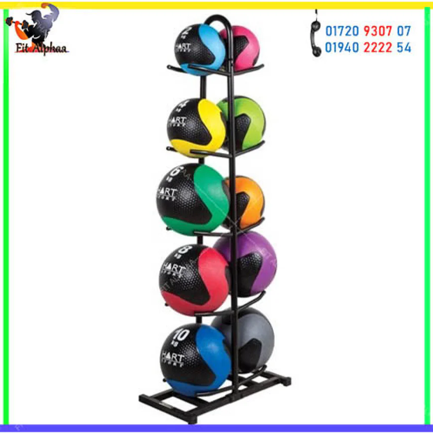 How to Choose the Best Gym Equipment in Bangladesh for Home & Commercial Fitness