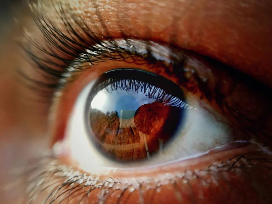 Artificial Retina Market Size, Growth, and Future Trends Analysis
