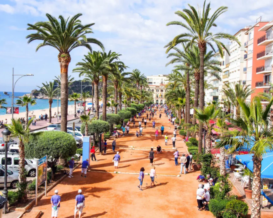 Private Barcelona Taxi Tour Services for a Personalized City Experience