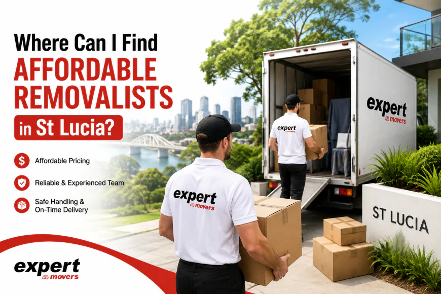 Where Can I Find Affordable Removalists in St Lucia?