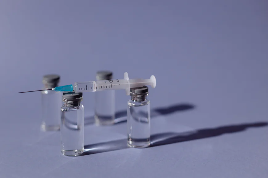 Dengue Vaccines Market Size, Trends, Drivers, and Growth Outlook 2026–2033