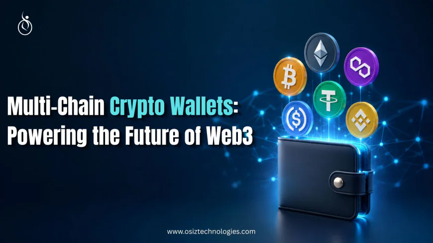 Multi-Chain Crypto Wallets: Powering the Future of Web3