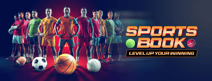 How Gold365 Organises Cricket, Sports and Account Features