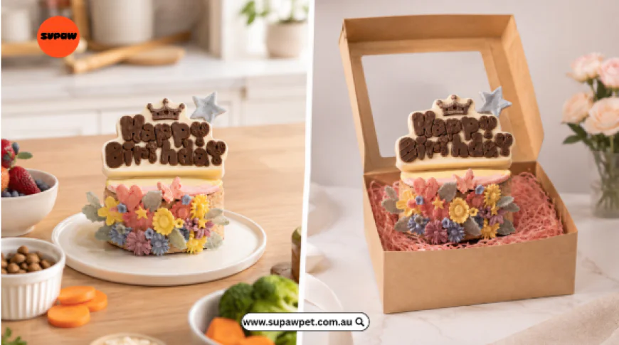 Dog Food Birthday Cake at Home vs a Bakery Order: Weighing Up the Real Difference