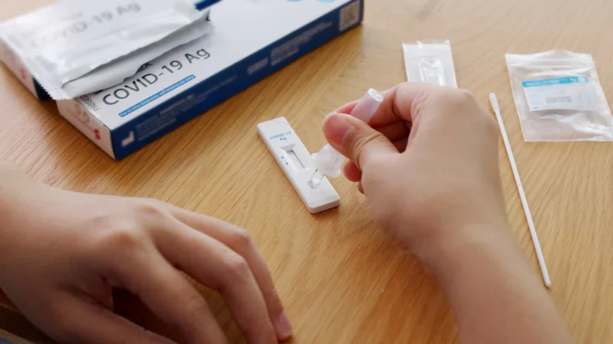 Why Choose Ancestry DNA Test UAE for Family History