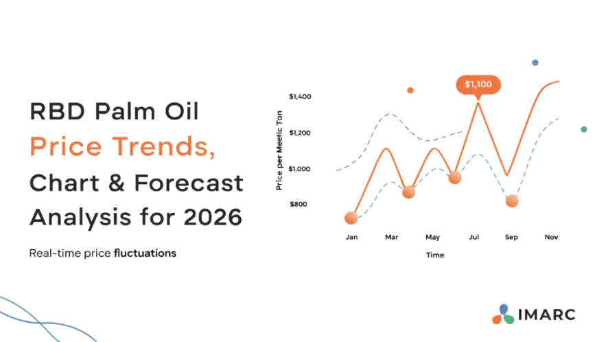 RBD Palm Oil Price Forecast 2026 Shows Stable Global Trend
