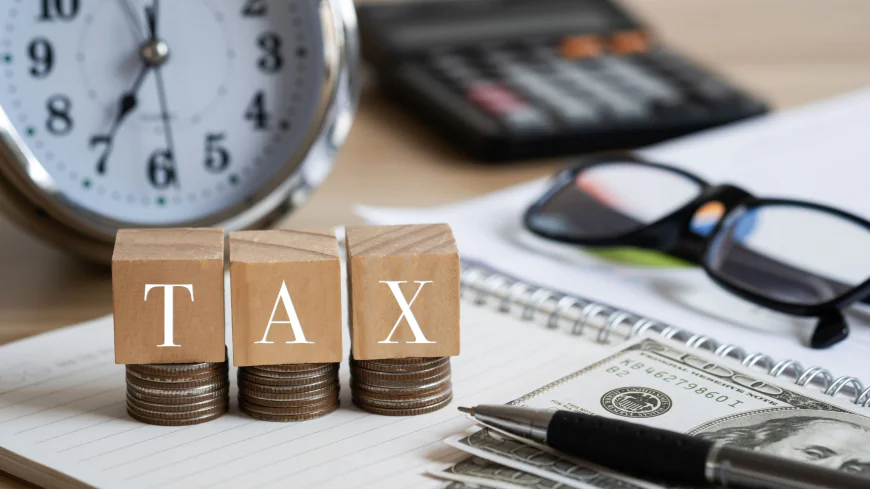 How Can Tax Preparation Miami Help Small Businesses Grow?