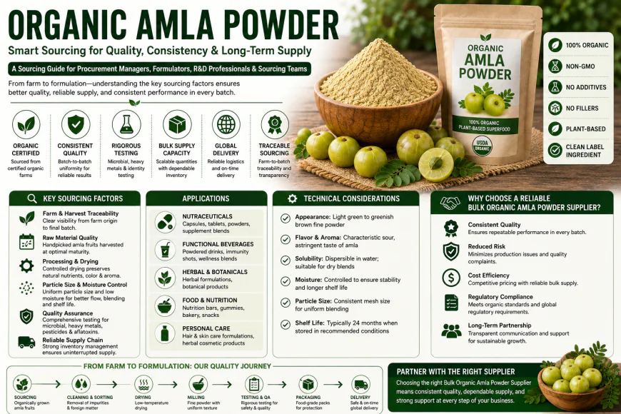 Strategic Sourcing Considerations for Organic Amla Powder in Commercial Manufacturing