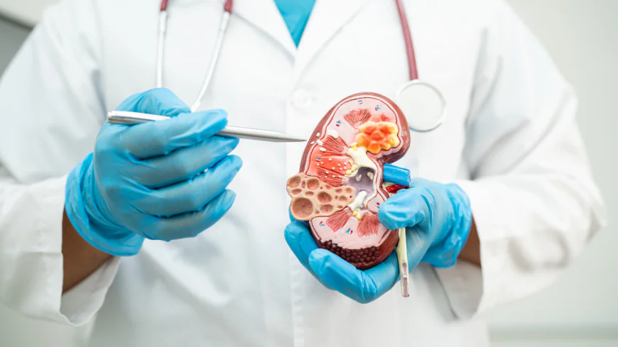 Kidney Problems Blood Test in Dubai: Early Detection