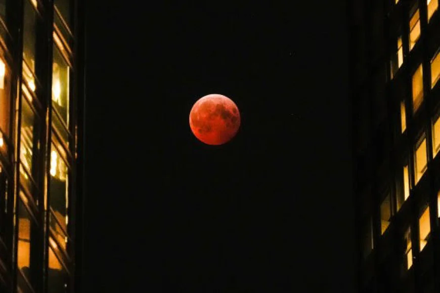 How Will the 2nd Lunar Eclipse of 2026 Affect Your Zodiac Sign?