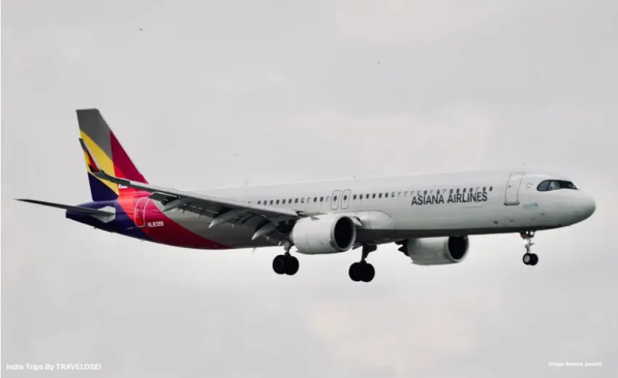 South Korean Flag Carrier: Past and Future
