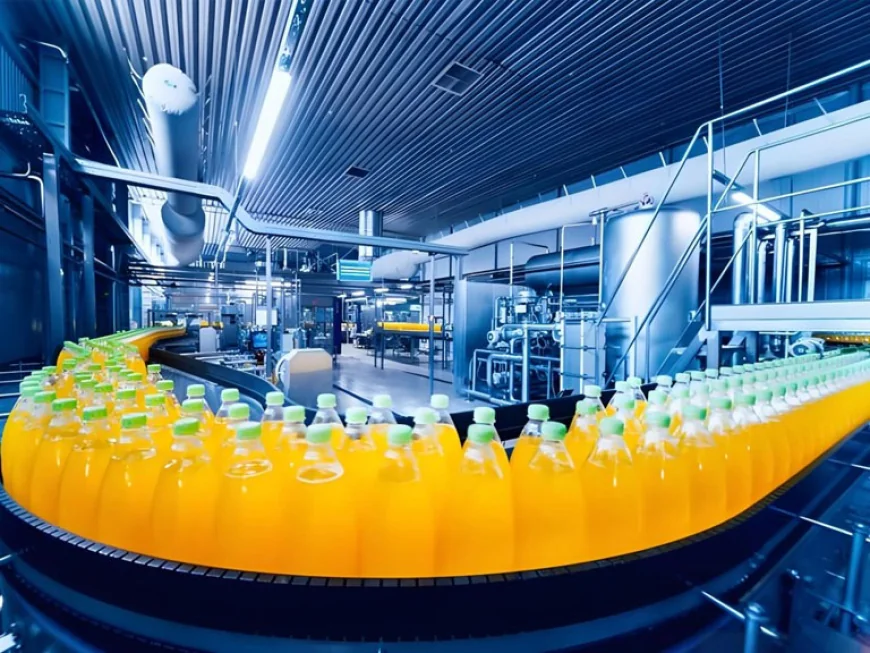 Refrigerated Circulator: A Practical Guide to Precision Temperature Control