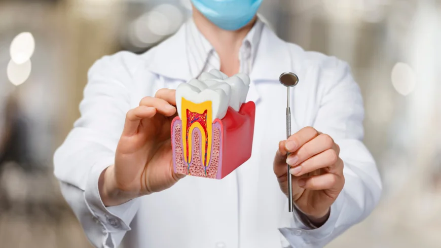 Root Canal Treatment in Dubai: Benefits and Procedure