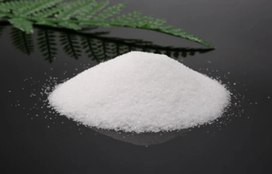 Why Stump Remover Chemical Is the Easiest Removal Method