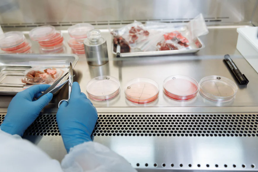 Precision Medicine Market Size, Trends, and Strategic Growth Outlook