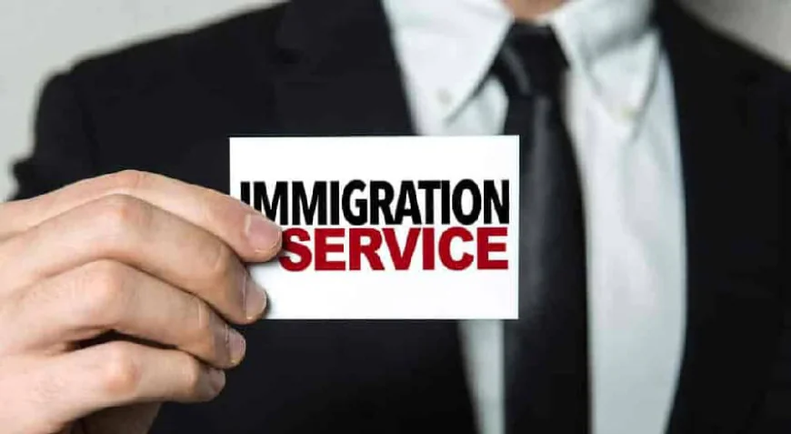 How to Choose the Right Migration Agent Brisbane in 2026