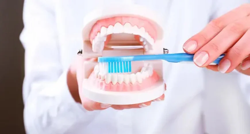 Why Choose the Best Dentist For Teeth Cleaning Lahore for Your Family?