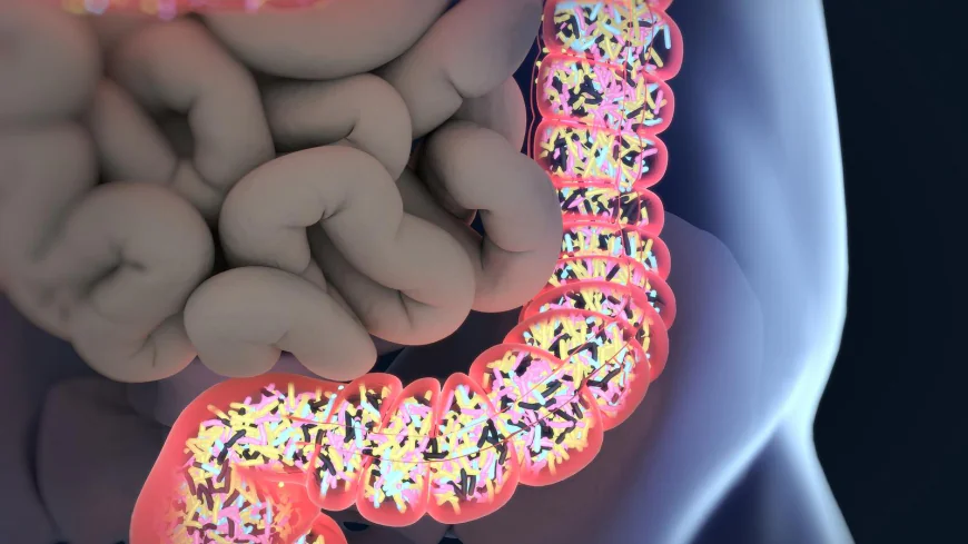 Gut Microbiome Test Dubai for Better Gut Health