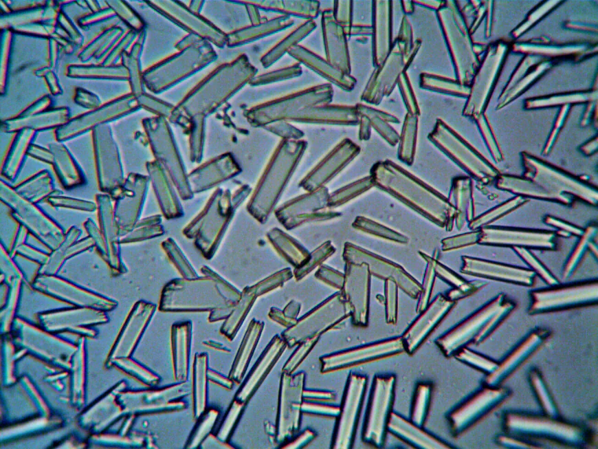 Global Nanocellulose Market Size, Trends, and Growth Outlook 2026-2033