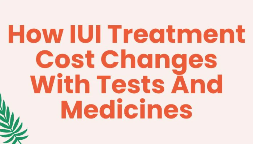 How IUI Treatment Cost Changes With Tests And Medicines