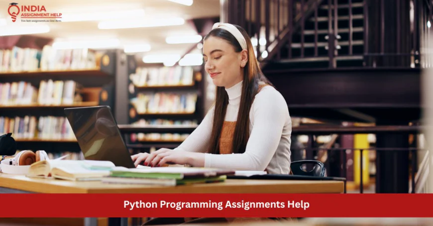From First Script to Confident Coder: A UK Student’s Guide to Python Programming Assignments Help