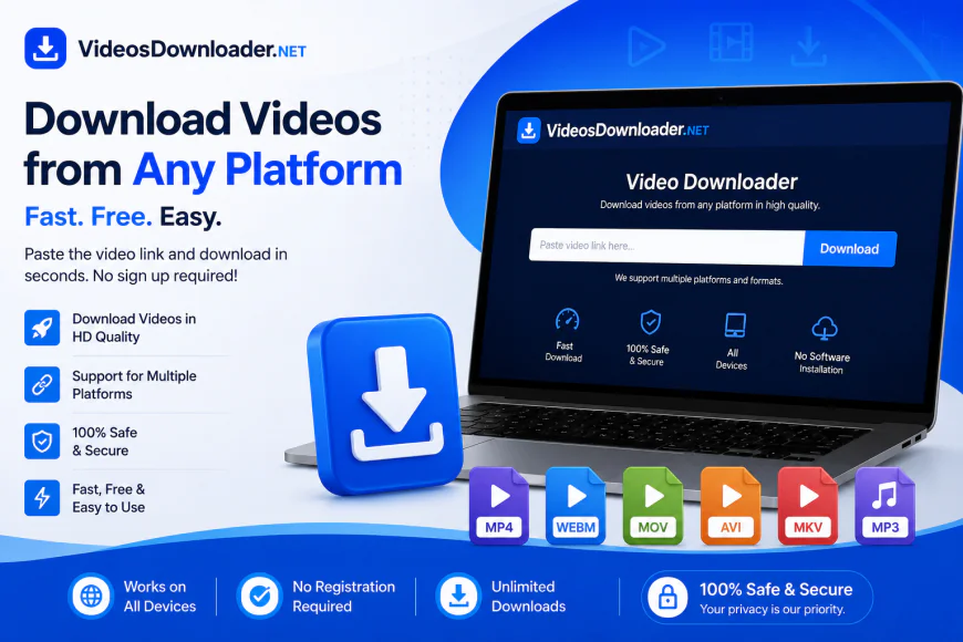 Why an Online Video Downloader Became a Digital Staple