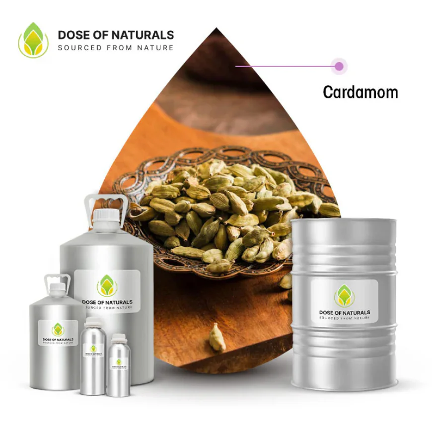 Leading Cardamom Oil Manufacturers for Bulk and Wholesale Supply