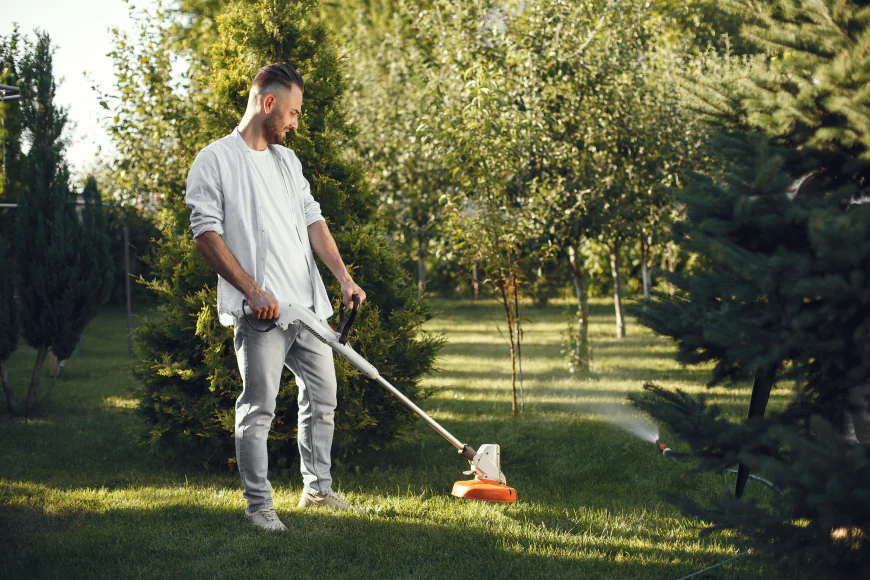 How Often Should You Schedule a Turf Cleaning Service?