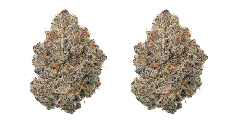 Finding High-Quality Budget THCa Flower in 2026
