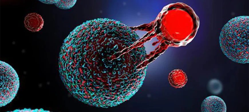 Global Car T Cell Therapy Market Size, Trends, and Growth Outlook 2026-2033