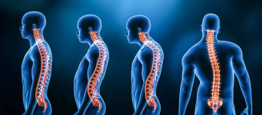 Understanding Spinal Curvature and Everyday Ways to Support Better Posture
