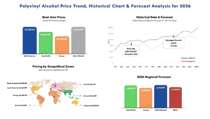 PVA Historical Price Chart 2026: Price Trend, Data and Outlook
