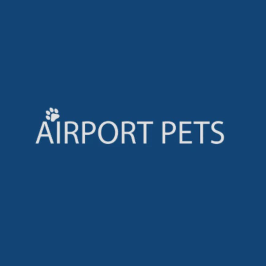 A Complete Guide to Air NZ Pet Transport and Safe Pet Travel in New Zealand