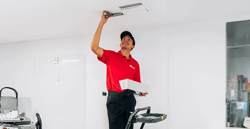 Apollo Beach Drywall Repair: When to Fix It Yourself and When to Call a Pro
