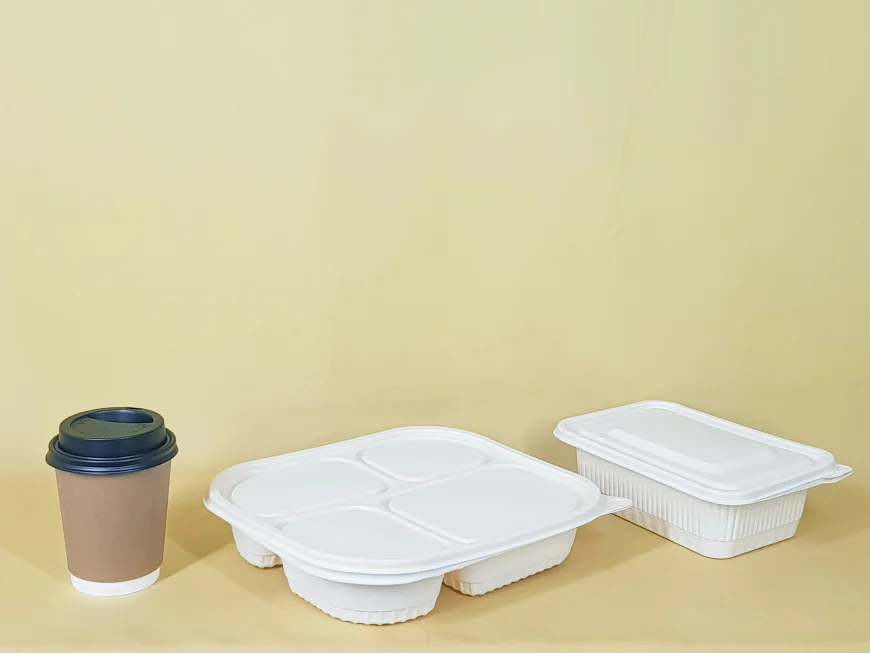 Plastic Packaging Market Size, Trends, and Growth Analysis 2026-2033
