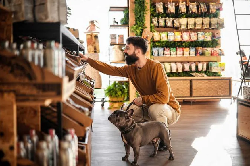How to Choose the Best Dog Products for Your Pet