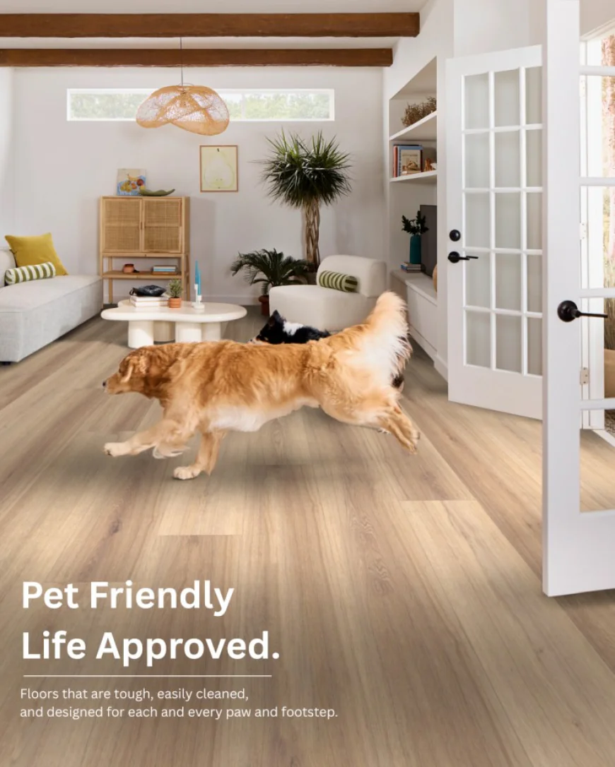 Which Flooring Is Best for Homes with Pets? | Carpet and Flooring Contractor Westford MA