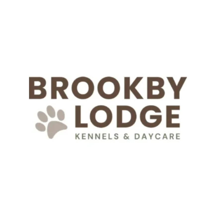 Puppy Daycare, Dog Care Near Me, Dog Day Care Center and Dog Kennels NZ