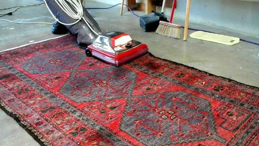 What is the Best Way to Remove Pet Stains From Fine Rugs