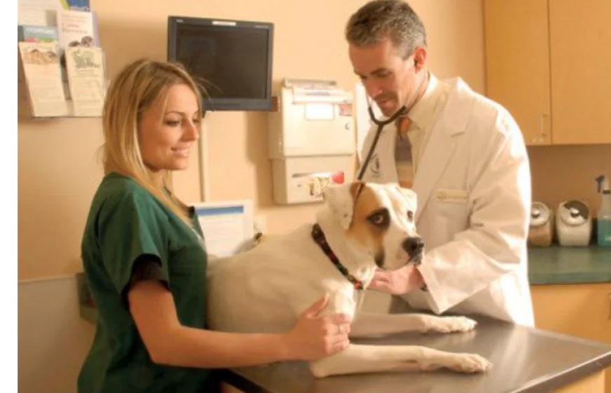 Sourcing Medical Supplies and Parts in Boise, Idaho