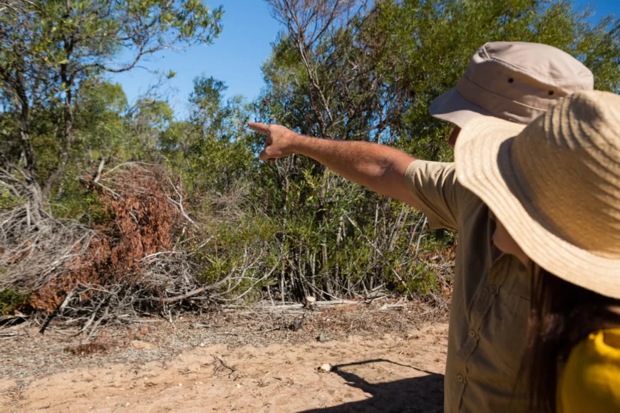 Wildlife Removal Experts in Charleston for Safe, Humane Solutions