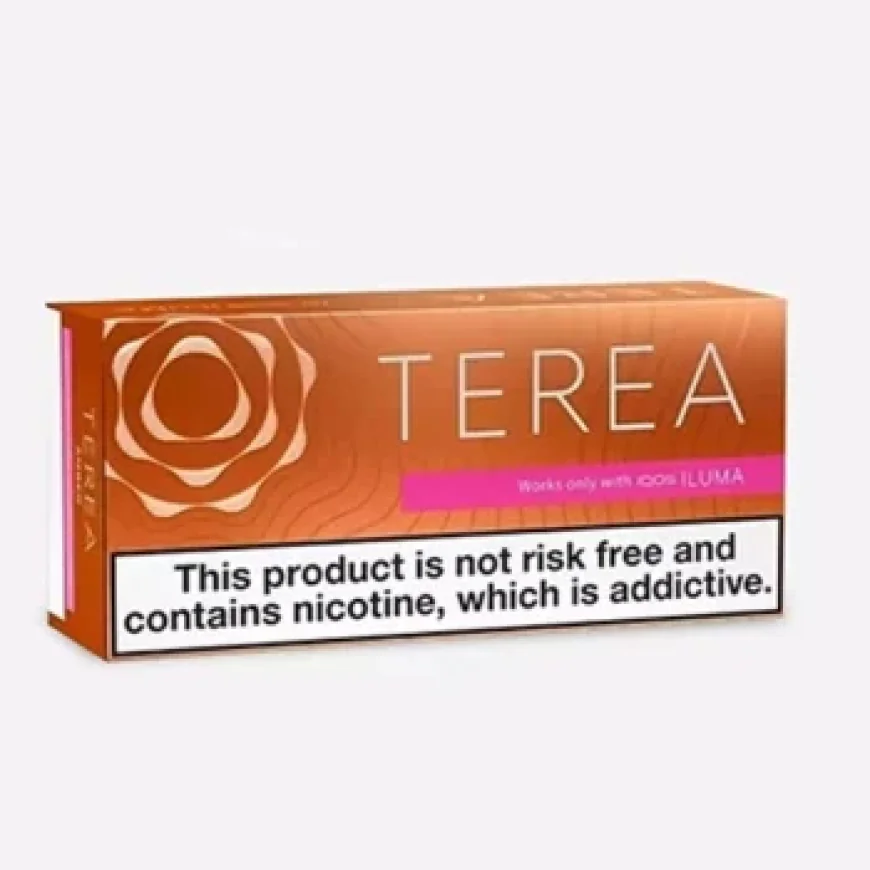 TEREA UAE: Complete Guide to TEREA Flavors, Editions & IQOS ILUMA
