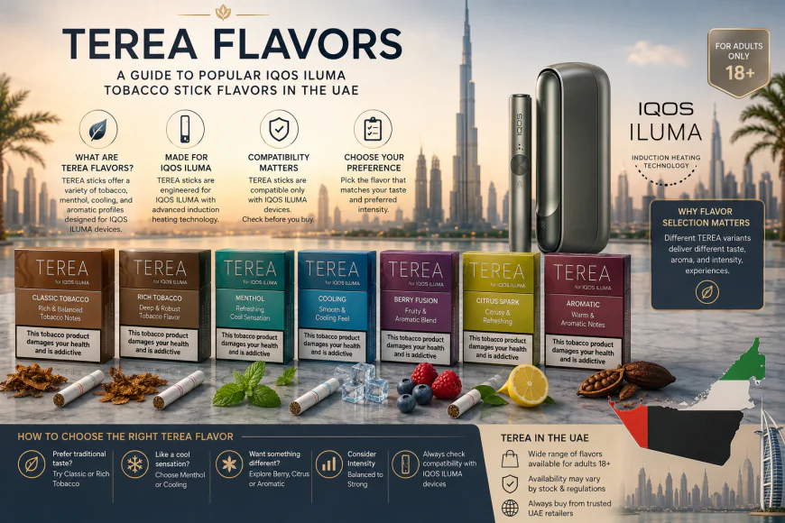 TEREA Flavors: A Guide to Popular IQOS ILUMA Tobacco Stick Flavors in the UAE
